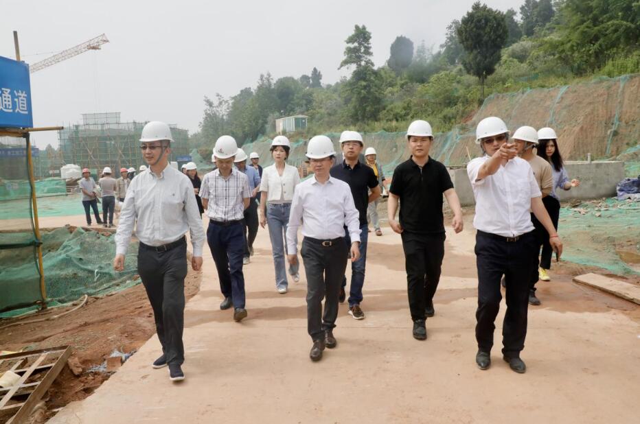 玩彩网集团“做大影响力”专责事情组调研聚峰谷项目