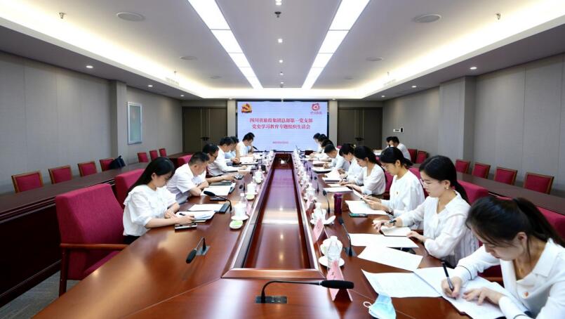 玩彩网集团党委书记、董事长任丁加入总部第一党支部党史学习教育专题组织生涯会