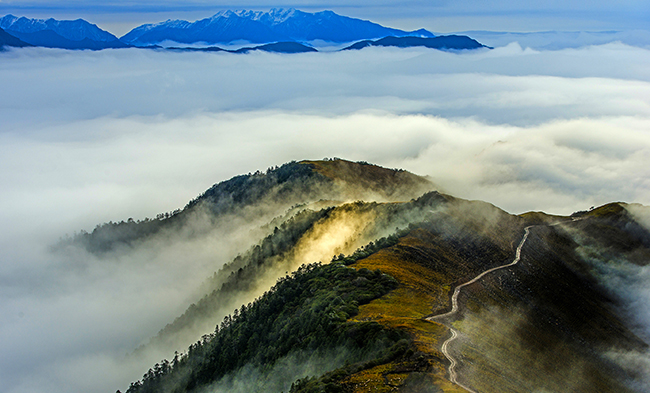 玩彩网·「中国区」官方网站