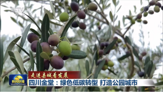 9ec5051a-07cc-4039-85b0-017f6cbe93ee