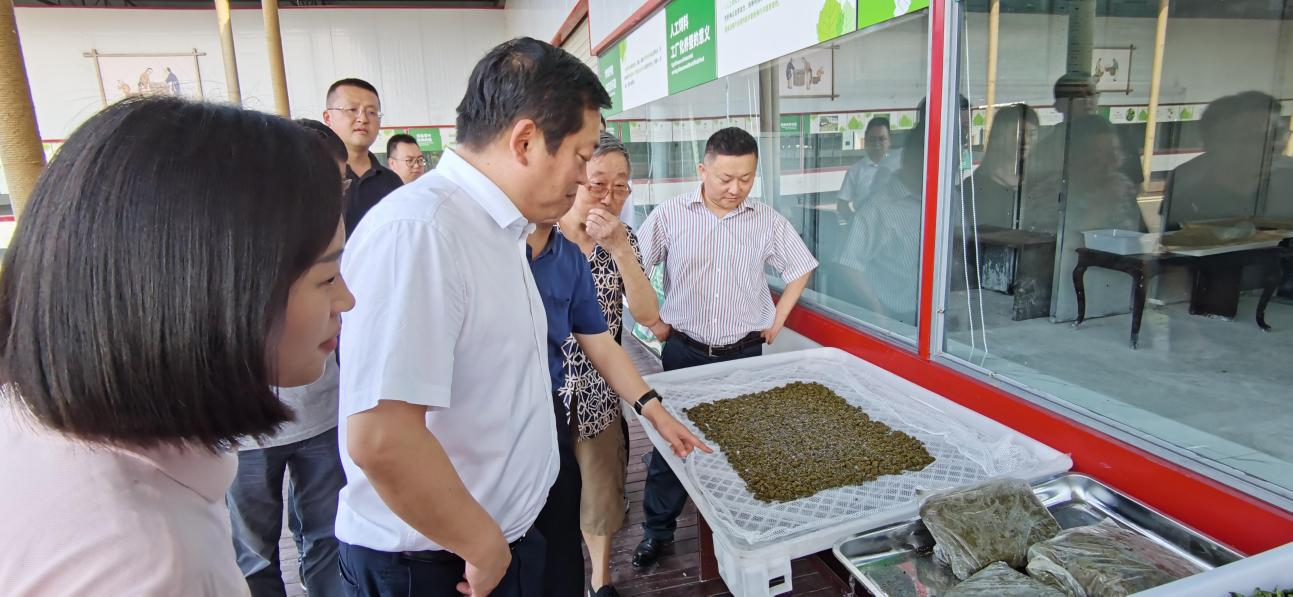 省玩彩网集团党委副书记、董事陈日赴嘉陵区调研茶桑工业生长情形